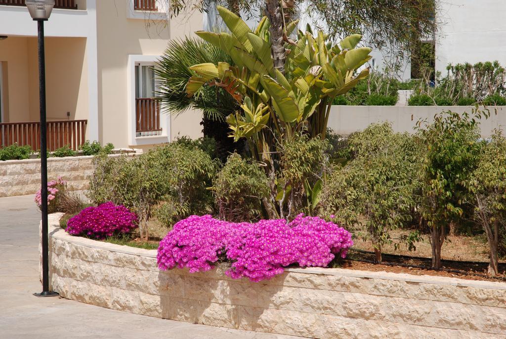 Aktea Beach Village Ayia Napa Exterior photo